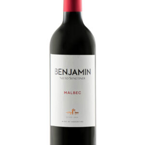 VINO BENJAMIN MALBEC 750 ML BULTO X 6