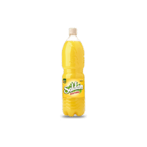 JUGO POMELO SALDAN 1,5LT BULTO X 6